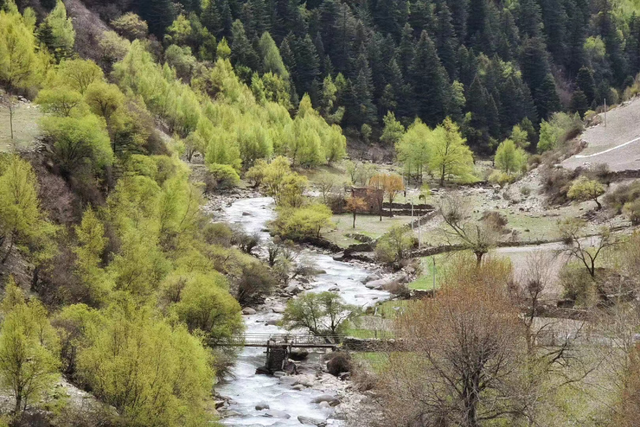 成都|甘孜景区全部半价！4条最佳游玩路线，周末也能去！