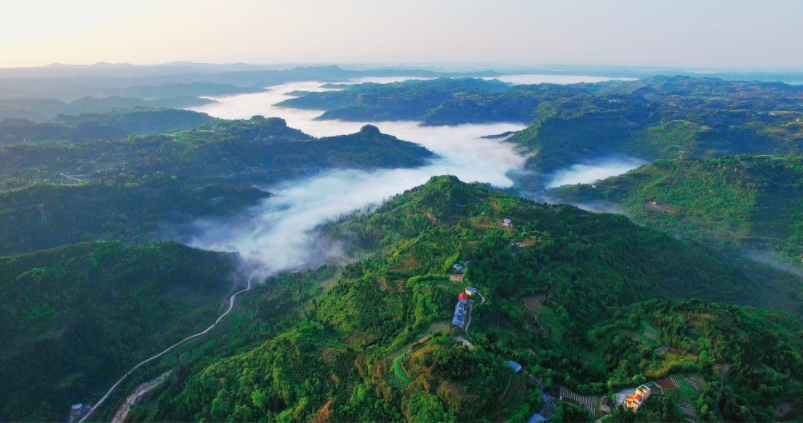 |江东首届文化和旅游产品推广会,7月19日开幕