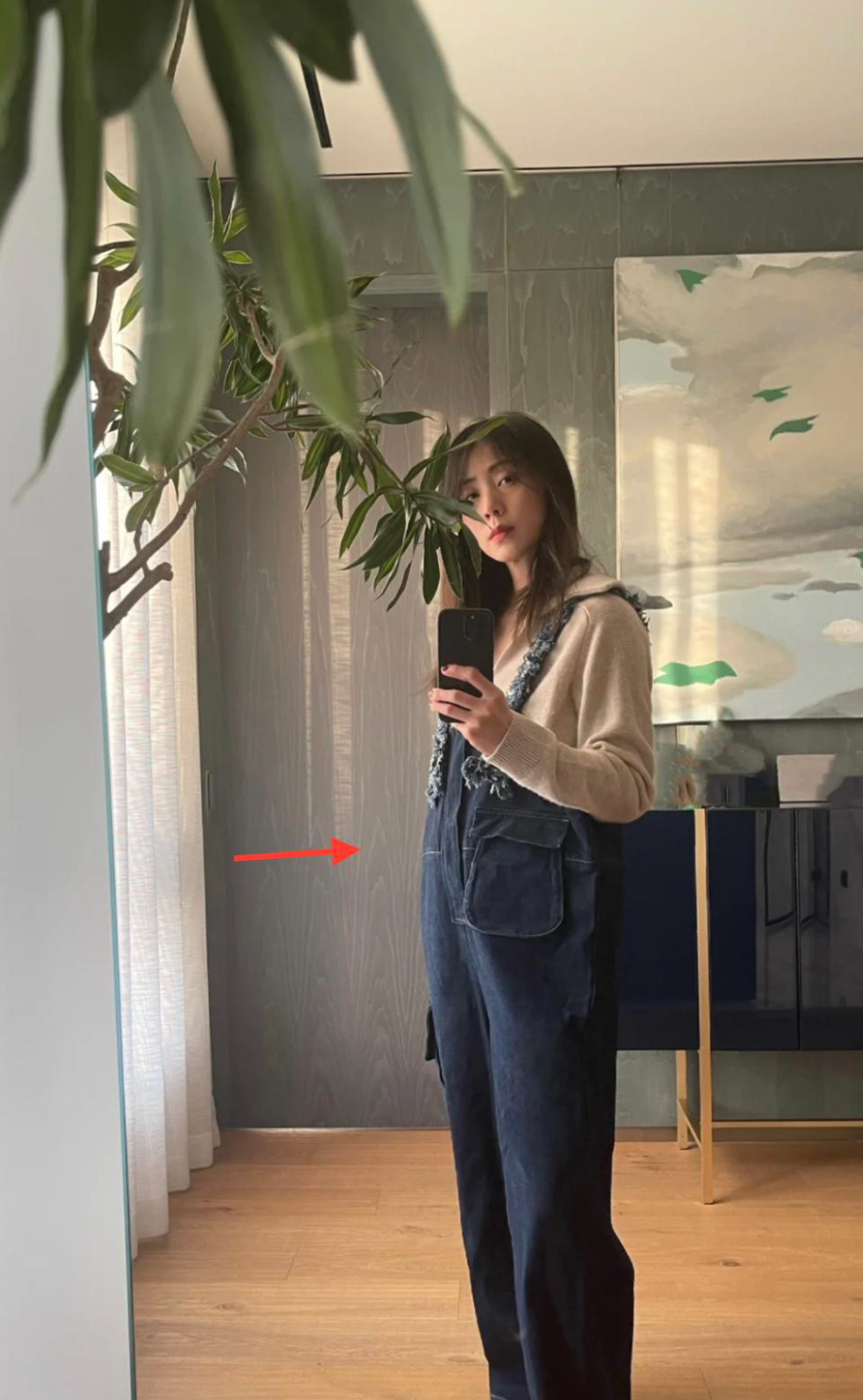 杨丽萍|黄磊老婆,引发热议!