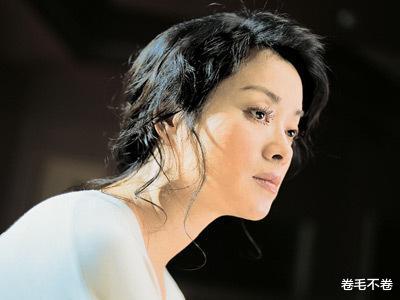 毛阿敏|毛阿敏之女解佳桐:父亲260亿的遗产,也给不了母亲后半生的幸福