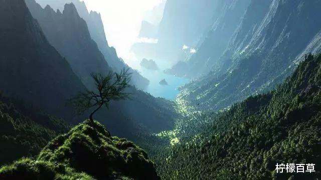 人类消失之后的世界:可能地球文明只是在不停的轮回