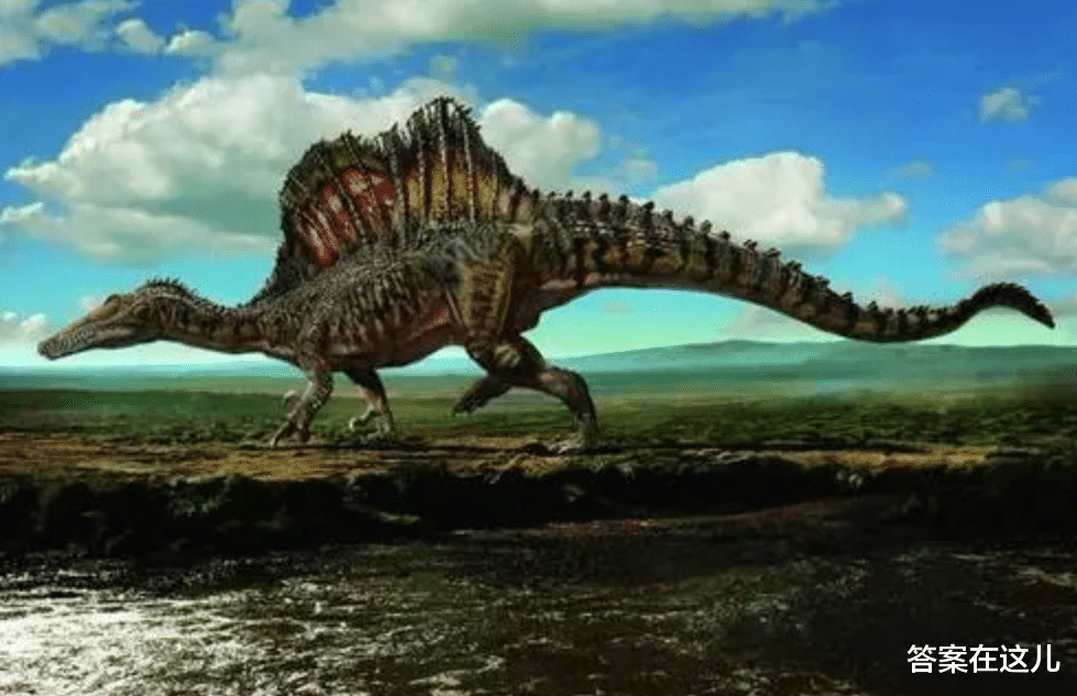 在恐龙之前也有地球霸主！要是它还存在，还会有恐龙的崛起吗？