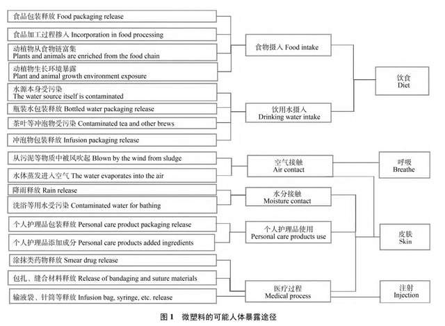 是真的!人未出生,就已被“毒害”,塑料垃圾:海底20年增长2倍