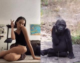 罕见有趣的真实照片:大鱼吃野果,金蝉脱壳,存活的远古生物