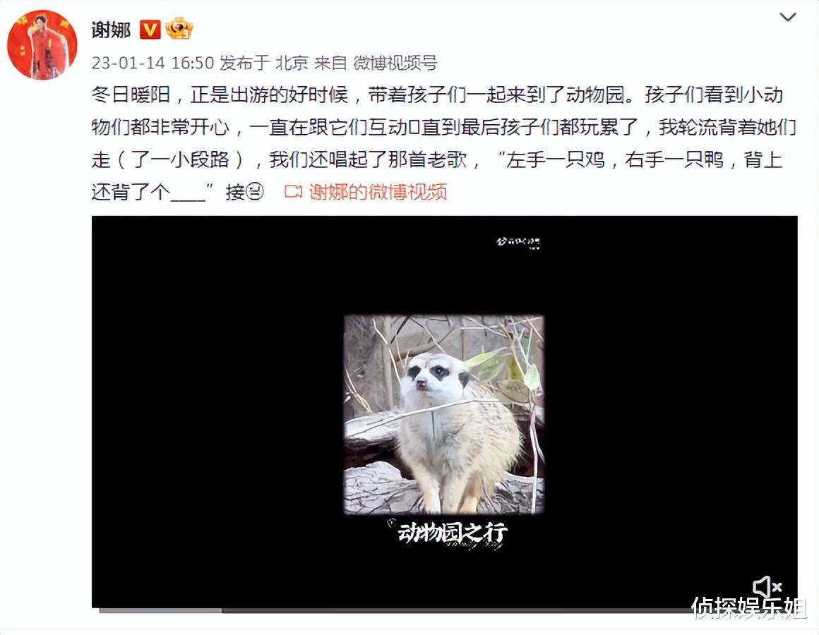 谢娜|谢娜带三个孩子逛动物园,轮流背着女儿们唱歌,母爱满满超幸福