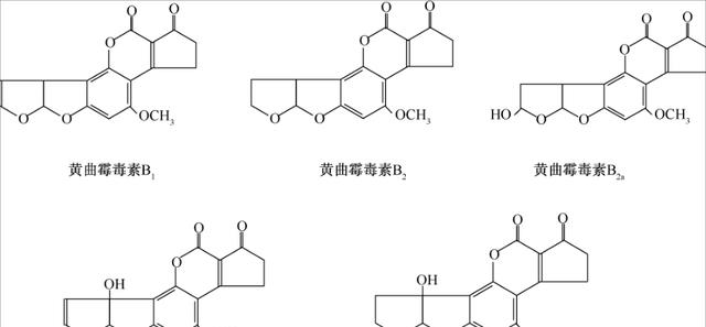“一克熟茶五亿霉菌,喝熟茶等于喝脏水”?普洱茶到底能不能喝?