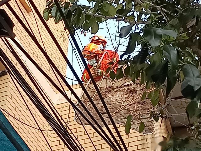 临街墙体瓷砖变“炸弹”，消防员帮忙拆除