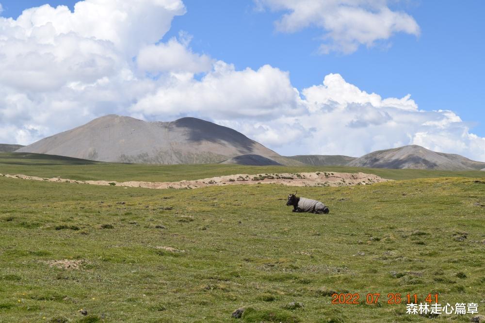 西藏|说走就走的旅行：自驾317 遇见西藏丁青县布托湖 遇见藏族尼达加夏一家