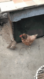 “女友闺蜜喊我去唱歌,穿成这样谁顶得住啊?”兄弟忍住!