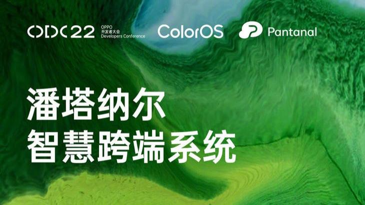 尼康|OPPO开发大会邀请函小生态暗藏大玄机ColorOS13与潘塔纳尔一起来