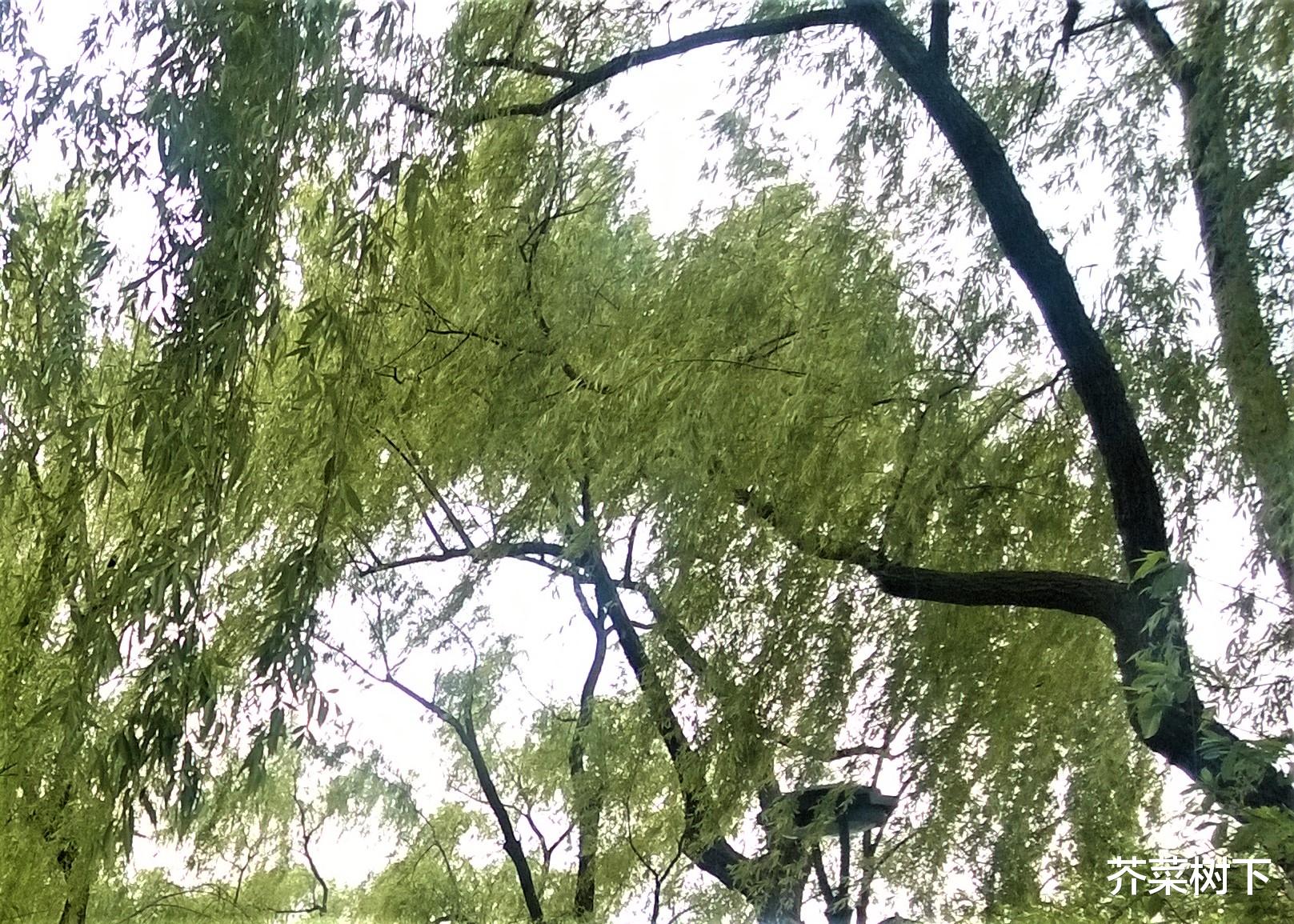 |职场人，不要只埋头工作