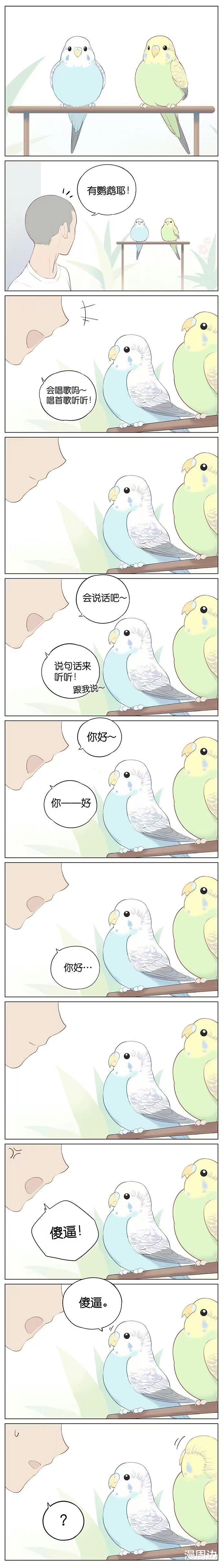 鹦鹉|「短篇漫画」小鸟依人