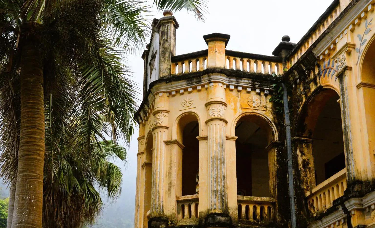 柿子|广西-崇左八景