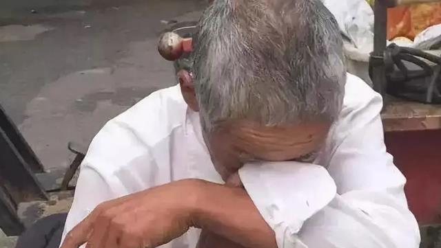 辽宁麻雀案回顾,男子因捕捉自家一只麻雀被判2个月,鸟不能乱逮