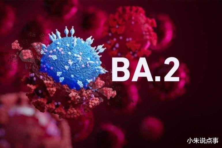 奥密克戎还在进化,能逃避疫苗和感染后的抗体?科学家给出答案