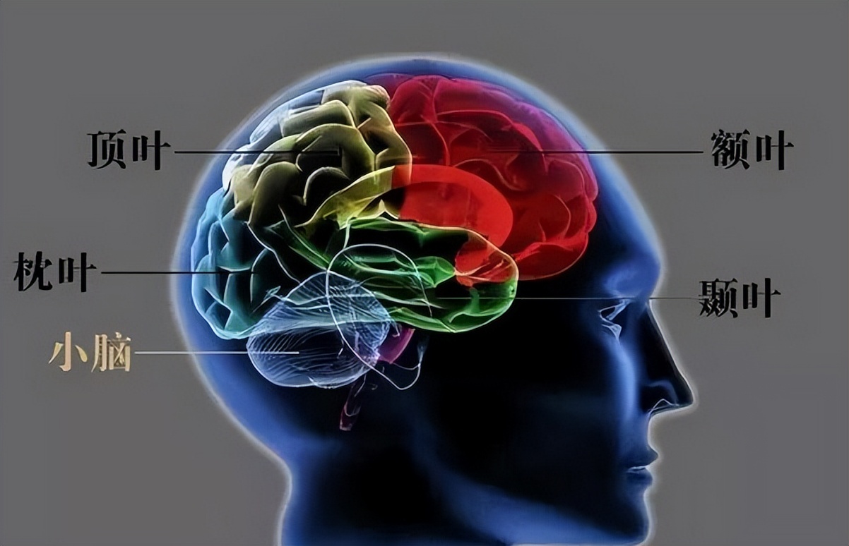 为何我们会看到“鬼”?科学家通过实验,证明了“鬼”的真相