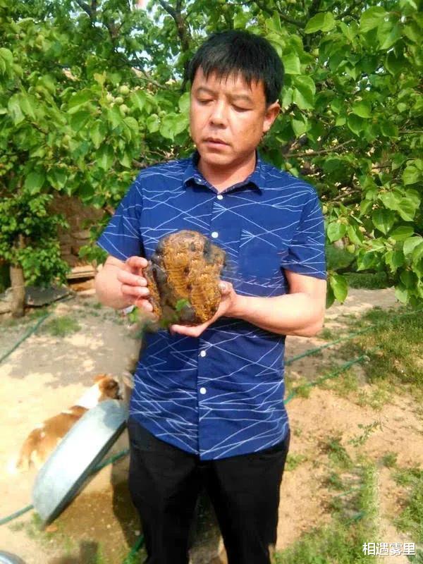 2010年他在河沟里捡到一块2公斤狗头金,6年后出价72万都不肯卖
