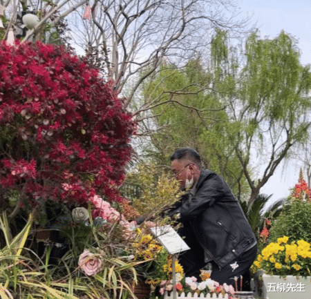 乔任梁|破防了!乔任梁爸爸清明节提前为儿子扫墓,244万多网友送抱抱