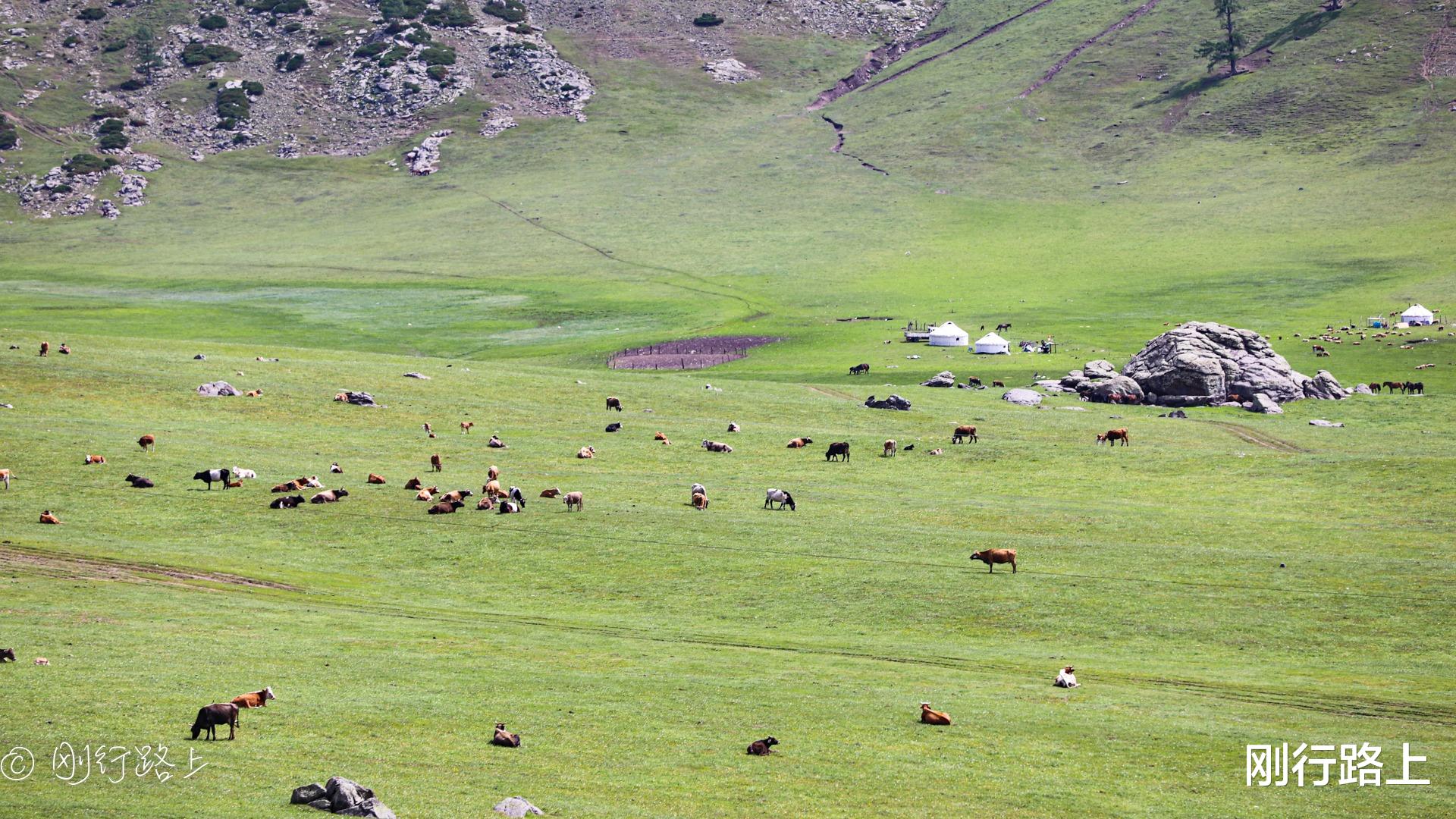 草原|布尔津草原石人哈萨克民族文化园,邂逅自然淳朴的民族风情