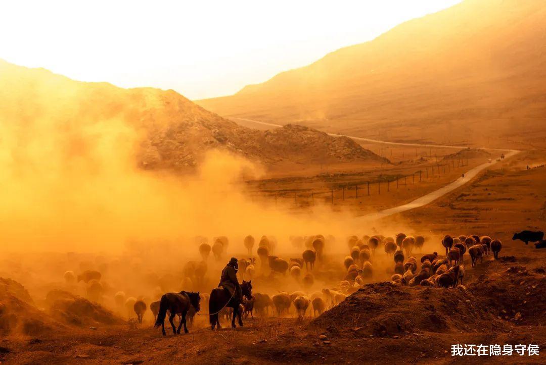 新疆维吾尔自治区|它称第二,无人敢称第一! 沉寂1个月,此生必去的秋色之王正在苏醒