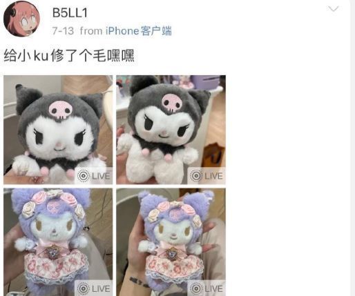 王思聪|王思聪被扒与姚心怡恋爱,送对方库洛米玩偶,同游三亚感情稳定