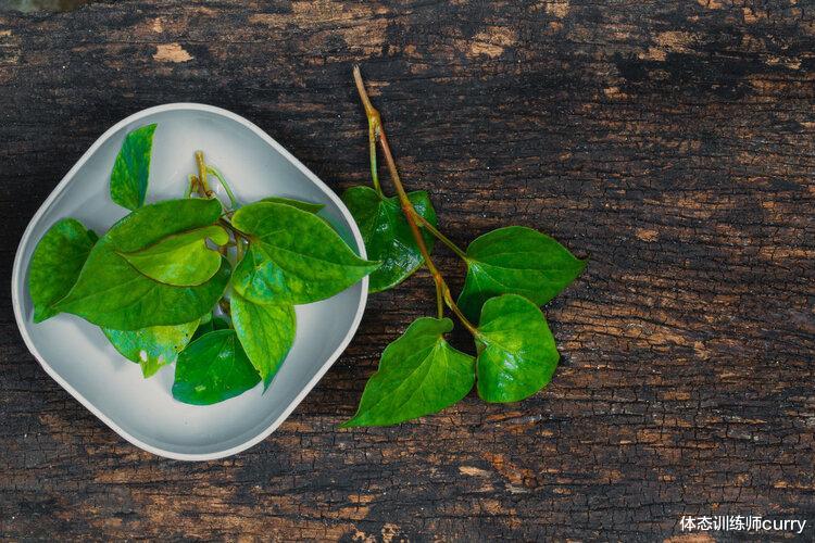 中草药|药典：3种中草药已被禁用，有肾毒性还致癌，不要以为是好药