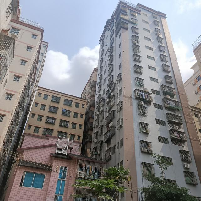 深圳市|深圳农民房爆改公寓,环境好但我住半年就离开,原因只有3个字