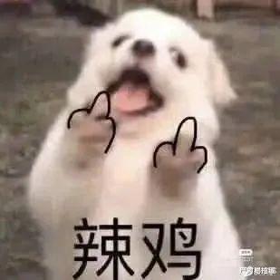 陈思诚|孕期出轨、新欢不断,这都能复婚?