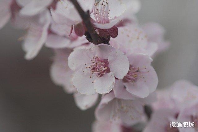 |老领导酒后吐真言：想在职场混得好，要看清8个生存法则，别傻干