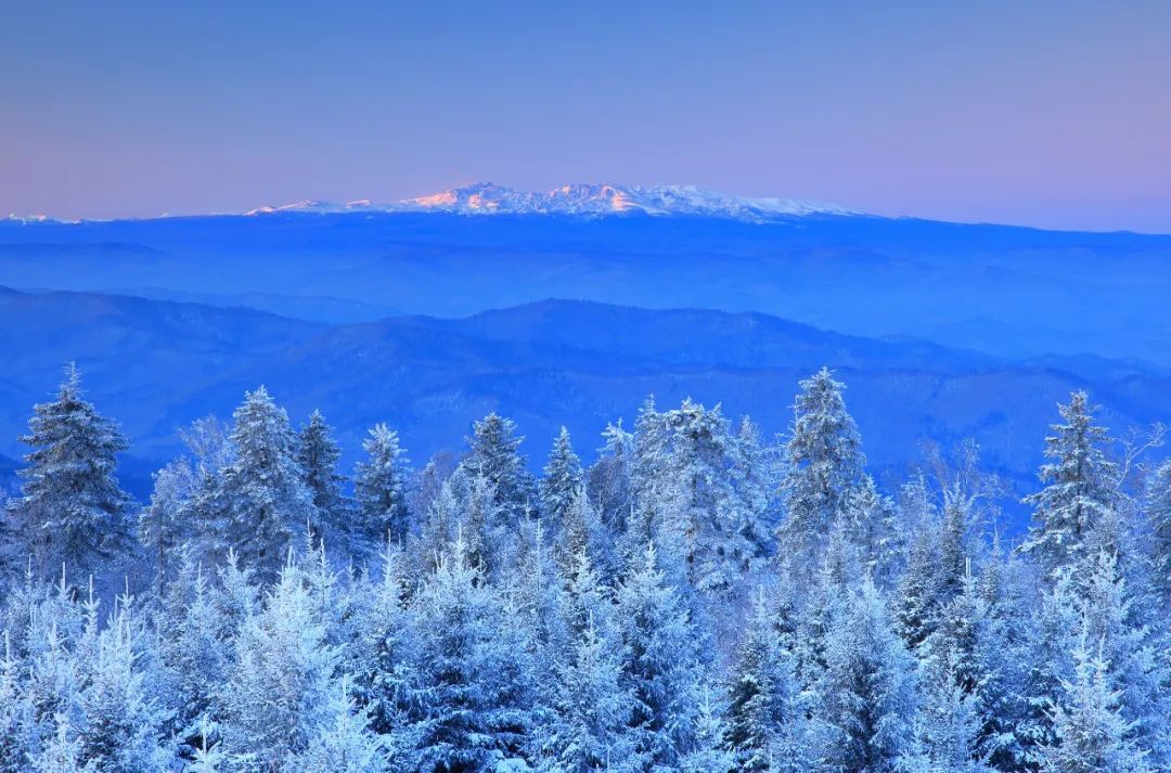 火山|长白：千年积雪的深处，是游走的梦
