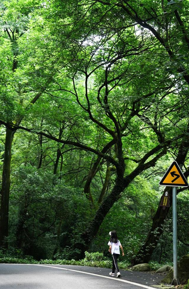 成都|不去厦门!成都也能打卡同款“荧光海”,20℃的森趣山林轻徒步巴适惨!