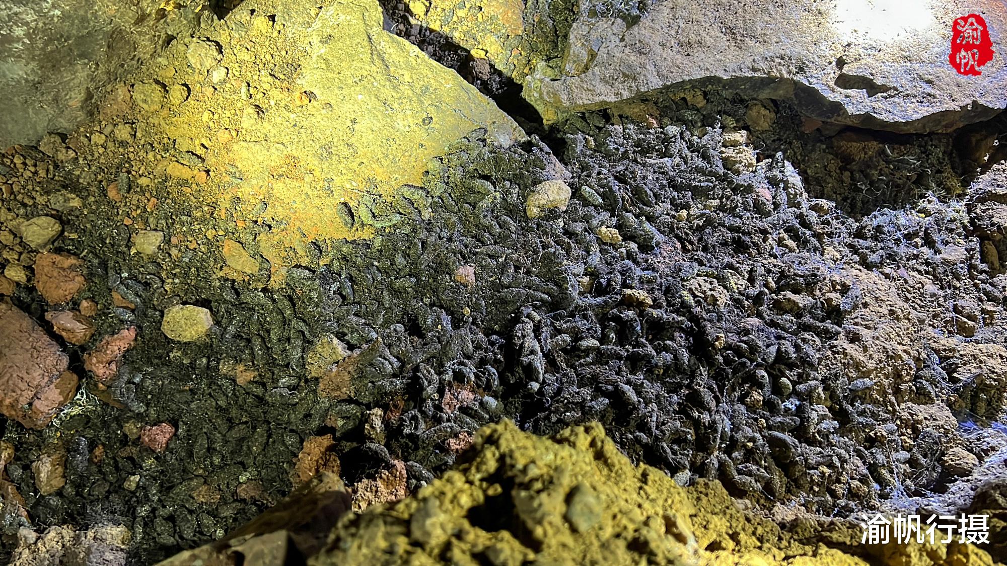 仙女洞|鲜为人知的仙女洞，曾是816的备选地，科考队探索3个月没走到尽头