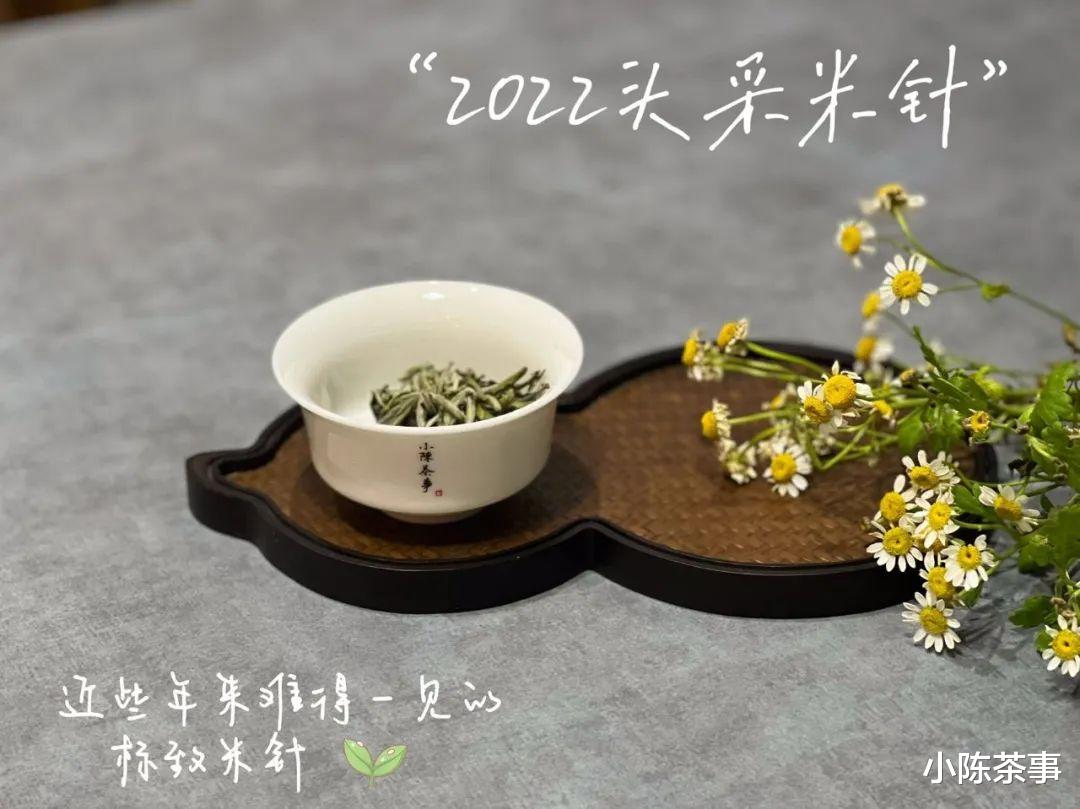 碱性食物|喝茶需要很专业吗？普通茶客喝茶，到底需要了解哪些干货？