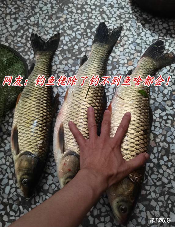 女孩|江苏女孩夜跑被男子搂住拖走,附近钓鱼人闻讯赶来一脚踹翻男子