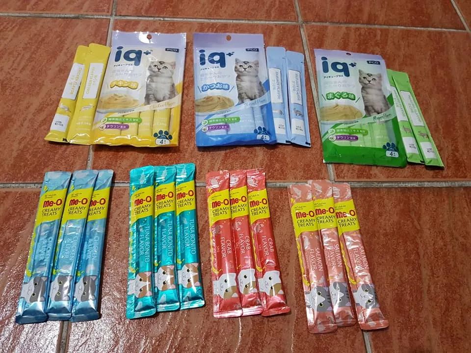 家人为猫存下2万多小金库，网友自己却穷得要吃土！网友：太富有了，我连两千都没有！！