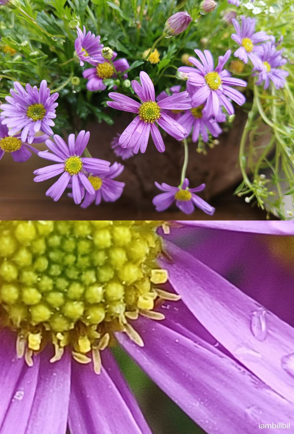 OPPO手机|用好OPPO手机拍照模式，轻松拍出精彩画面