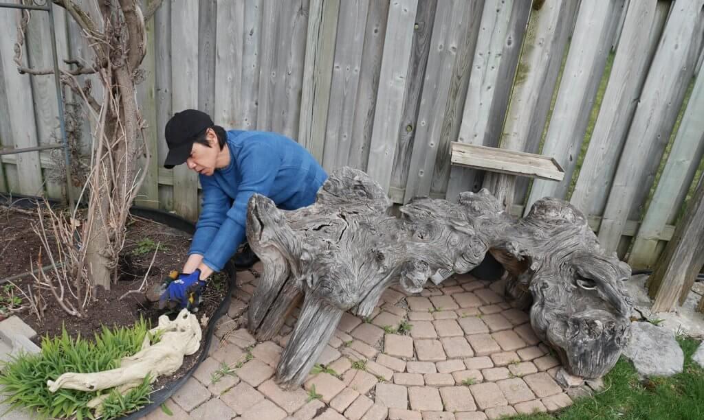 林嘉华|演员林嘉华:为家庭放弃事业,和妻子结婚38年,儿子比他还帅气