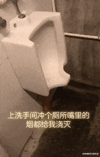 张庭|张庭林瑞阳现身机场一路小跑,落魄到像“逃难”,儿子早已拉黑其联系方式