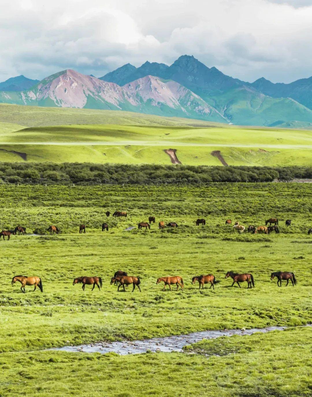 小红书|《隐入尘烟》，是这座西北最绚烂的千年古城，比敦煌还瑰丽