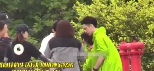 金晨|祖儿子韬,林彦俊,张艺兴,金晨王子异在一起?周深评价高?