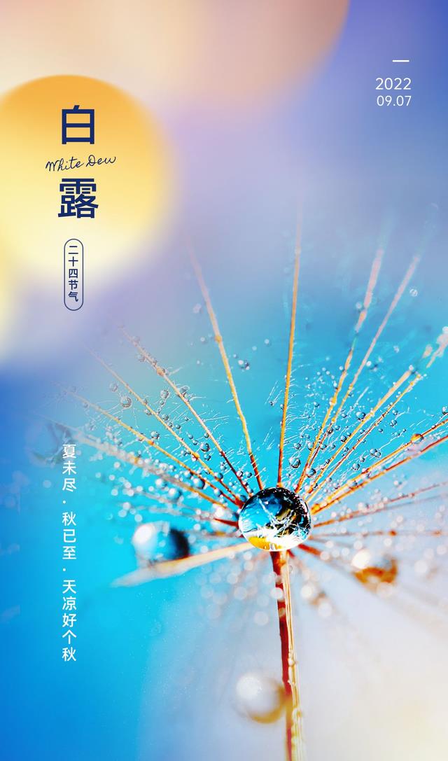 白露图片配图唯美高清带字大全,白露朋友圈问候语文案句子