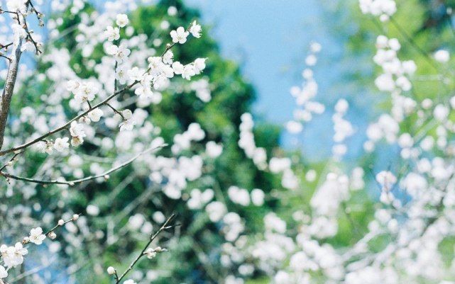 |下半年，贵人从旁协助，势头难挡，升职有望，收获丰厚的3个生肖