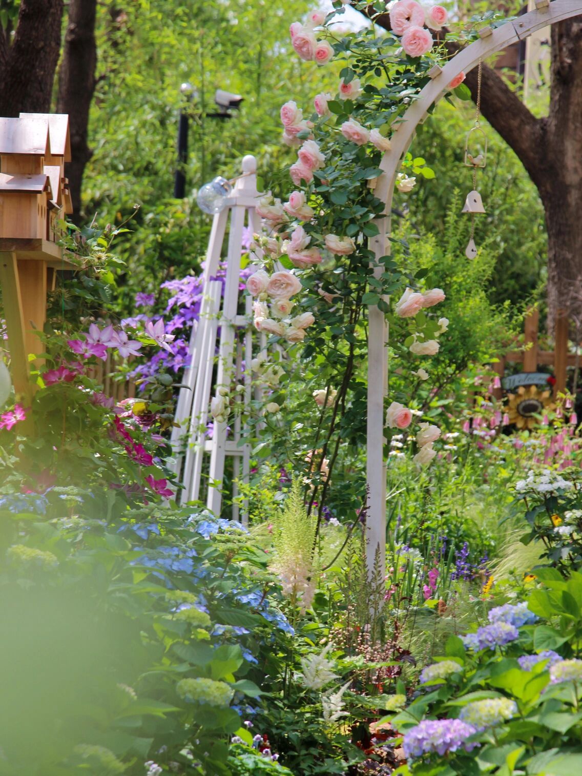 1年前,买了一栋带200m2花园的房子,不装修也要先把花园建起来