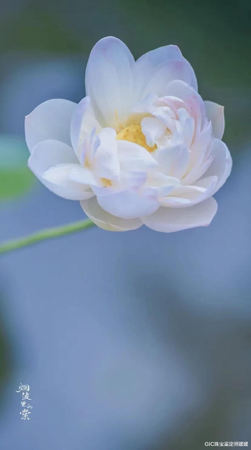 翡翠|这样的首饰在古代是君子佩戴的，用翡翠来雕刻别有韵味，一世静美