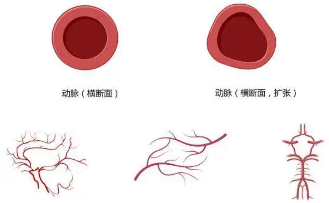 不穿宇航服进入太空会发生何事?苏联宇航员的血泪教训,敲响警钟