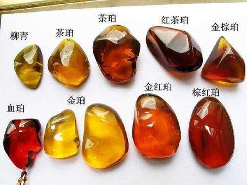两只小虫交配时变成琥珀,4100万年后还被围观?实在
