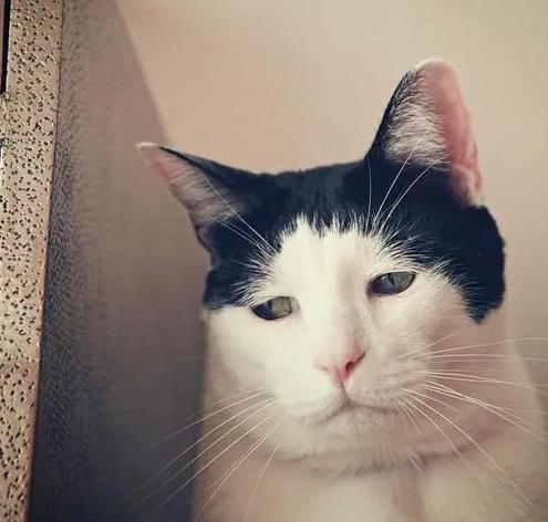 高考成绩差强人意:失败的只是考试,并非整个人生