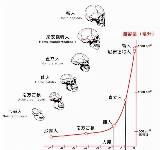 人类都是早产儿?科学家:怀孕21个月才足月,怀胎十月纯属无奈