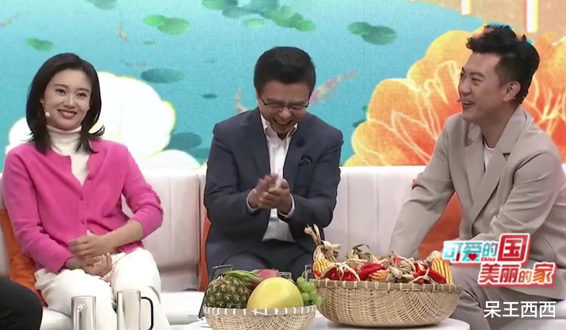 央视|央视逐渐向新媒体发力,年轻主持人被重用,王冰冰成意难平