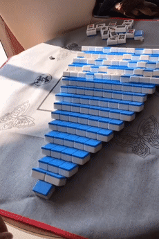 疫情在家,自学过哪些技能?看了网友的操作,服了!